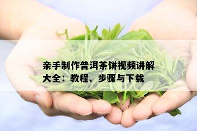 亲手制作普洱茶饼视频讲解大全：教程、步骤与下载