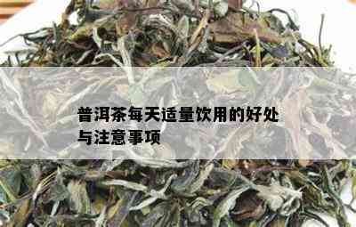 普洱茶每天适量饮用的好处与注意事项