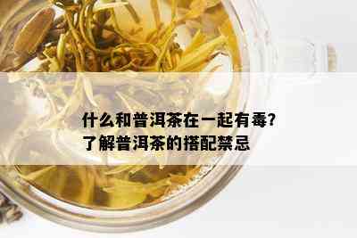 什么和普洱茶在一起有？了解普洱茶的搭配禁忌