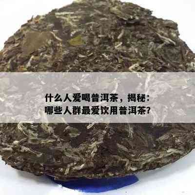 什么人爱喝普洱茶，揭秘：哪些人群更爱饮用普洱茶？