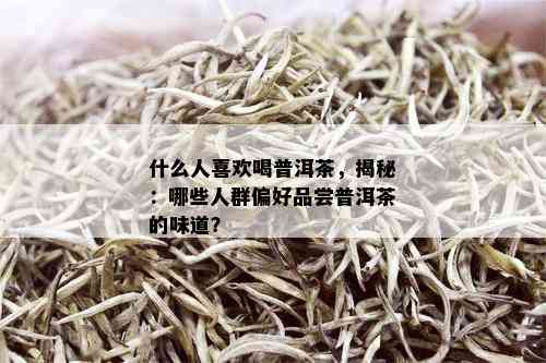 什么人喜欢喝普洱茶，揭秘：哪些人群偏好品尝普洱茶的味道？