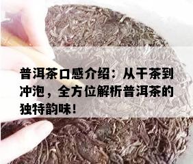 普洱茶口感介绍：从干茶到冲泡，全方位解析普洱茶的独特韵味！