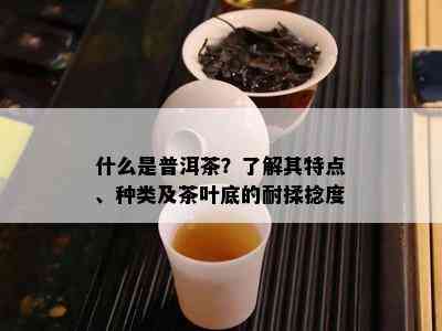 什么是普洱茶？了解其特点、种类及茶叶底的耐揉捻度