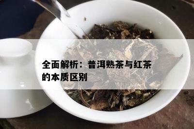 全面解析：普洱熟茶与红茶的本质区别