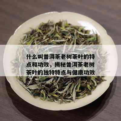 什么叫普洱茶老树茶叶的特点和功效，揭秘普洱茶老树茶叶的独特特点与健康功效