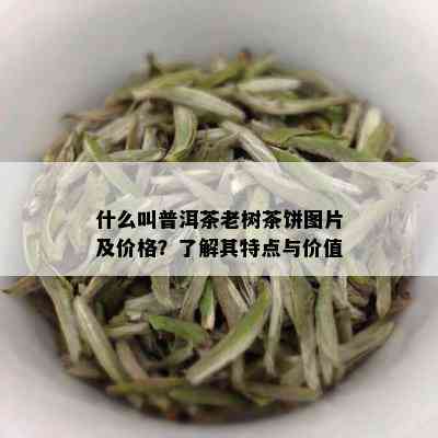 什么叫普洱茶老树茶饼图片及价格？了解其特点与价值