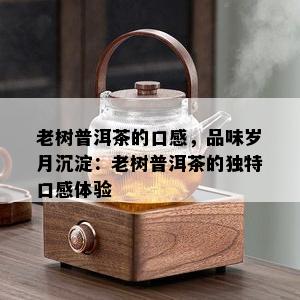 老树普洱茶的口感，品味岁月沉淀：老树普洱茶的独特口感体验