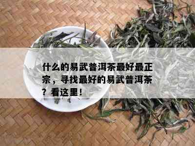 什么的易武普洱茶更好最正宗，寻找更好的易武普洱茶？看这里！