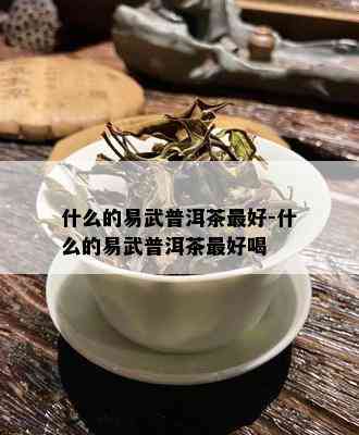 什么的易武普洱茶更好-什么的易武普洱茶更好喝