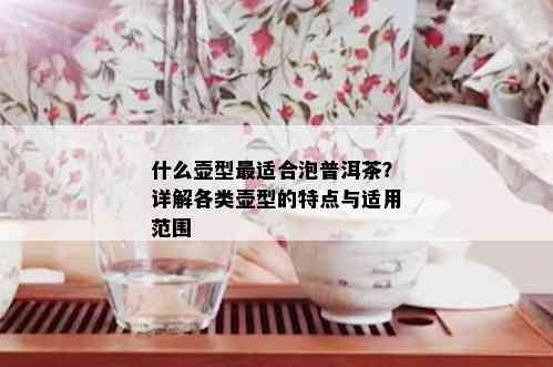 什么壶型最适合泡普洱茶？详解各类壶型的特点与适用范围