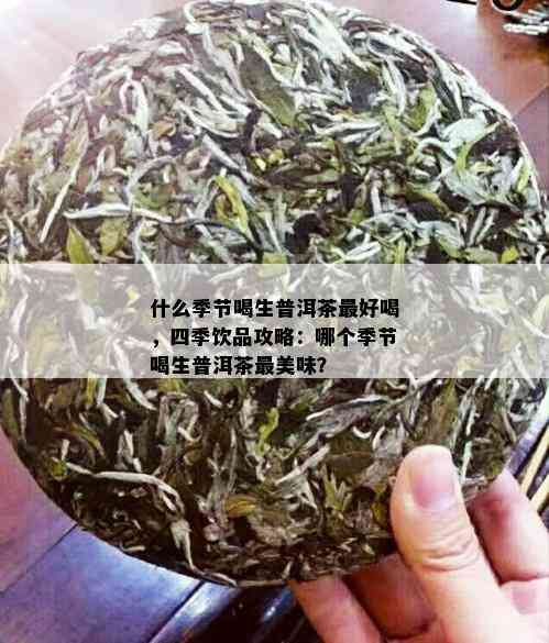 什么季节喝生普洱茶更好喝，四季饮品攻略：哪个季节喝生普洱茶最美味？