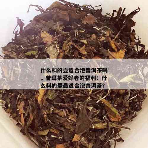 什么料的壶适合泡普洱茶喝，普洱茶爱好者的福利：什么料的壶最适合泡普洱茶？