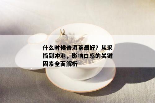 什么时候普洱茶更好？从采摘到冲泡，影响口感的关键因素全面解析