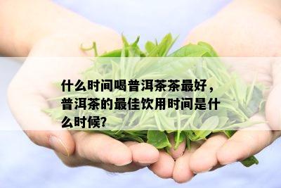 什么时间喝普洱茶茶更好，普洱茶的更佳饮用时间是什么时候？