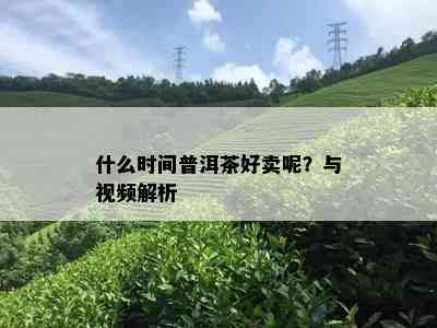 什么时间普洱茶好卖呢？与视频解析