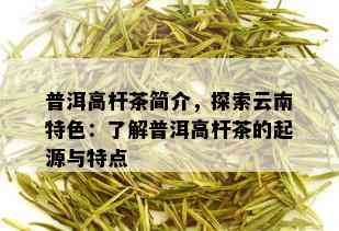 普洱高杆茶简介，探索云南特色：了解普洱高杆茶的起源与特点