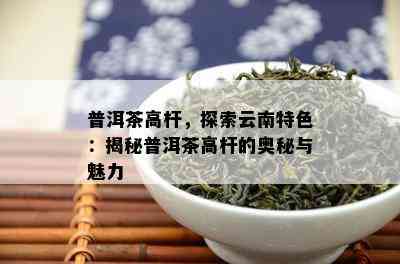 普洱茶高杆，探索云南特色：揭秘普洱茶高杆的奥秘与魅力