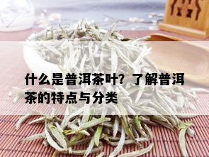 什么是普洱茶叶？了解普洱茶的特点与分类