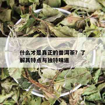 什么才是真正的普洱茶？了解其特点与独特味道