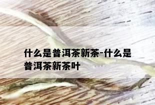 什么是普洱茶新茶-什么是普洱茶新茶叶