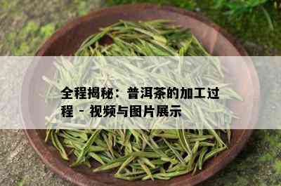 全程揭秘：普洱茶的加工过程 - 视频与图片展示