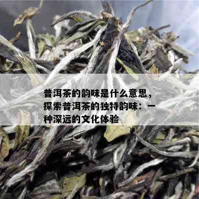 普洱茶的韵味是什么意思，探索普洱茶的独特韵味：一种深远的文化体验