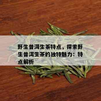 野生普洱生茶特点，探索野生普洱生茶的独特魅力：特点解析