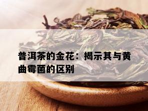 普洱茶的金花：揭示其与黄曲霉菌的区别