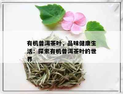 有机普洱茶叶，品味健康生活：探索有机普洱茶叶的世界