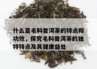 什么是毛料普洱茶的特点和功效，探究毛料普洱茶的独特特点及其健康益处