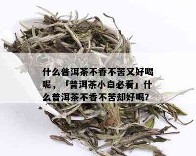 什么普洱茶不香不苦又好喝呢，「普洱茶小白必看」什么普洱茶不香不苦却好喝？