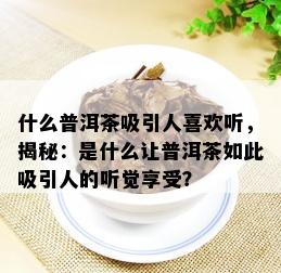 什么普洱茶吸引人喜欢听，揭秘：是什么让普洱茶如此吸引人的听觉享受？