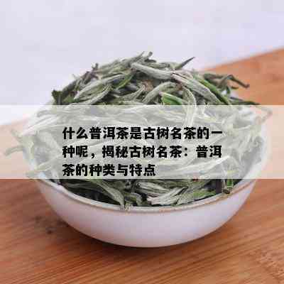 什么普洱茶是古树名茶的一种呢，揭秘古树名茶：普洱茶的种类与特点