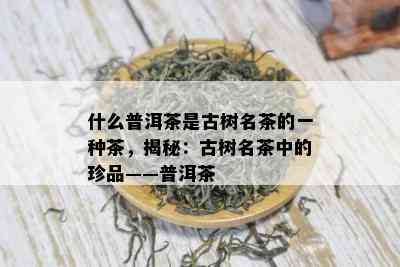 什么普洱茶是古树名茶的一种茶，揭秘：古树名茶中的珍品——普洱茶