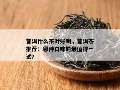 普洱什么茶叶好喝，普洱茶推荐：哪种口味的最值得一试？