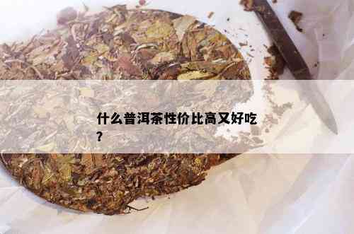 什么普洱茶性价比高又好吃？