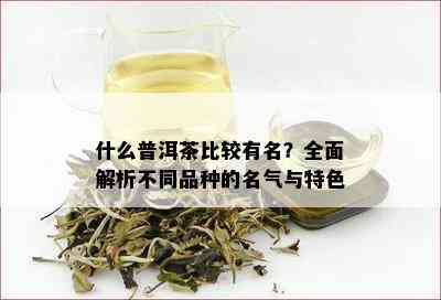 什么普洱茶比较有名？全面解析不同品种的名气与特色