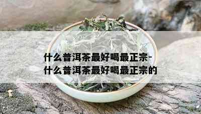 什么普洱茶更好喝最正宗-什么普洱茶更好喝最正宗的