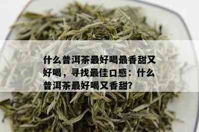 什么普洱茶更好喝最香甜又好喝，寻找更佳口感：什么普洱茶更好喝又香甜？