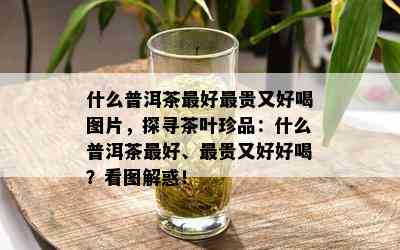 什么普洱茶更好最贵又好喝图片，探寻茶叶珍品：什么普洱茶更好、最贵又好好喝？看图解惑！