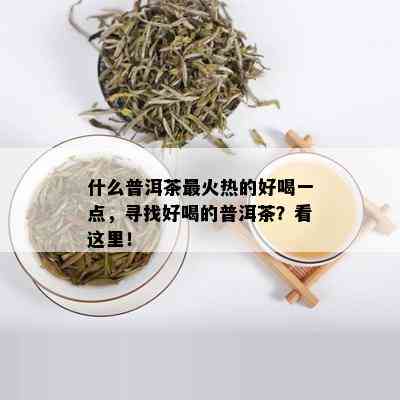 什么普洱茶最火热的好喝一点，寻找好喝的普洱茶？看这里！