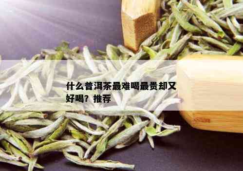 什么普洱茶最难喝最贵却又好喝？推荐