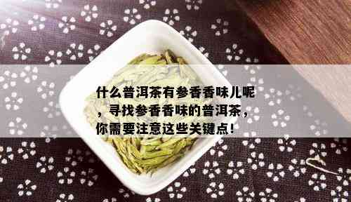 什么普洱茶有参香香味儿呢，寻找参香香味的普洱茶，你需要注意这些关键点！