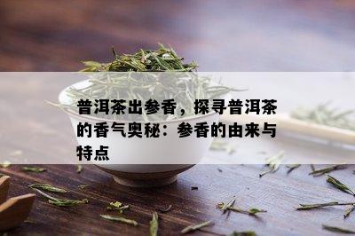 普洱茶出参香，探寻普洱茶的香气奥秘：参香的由来与特点