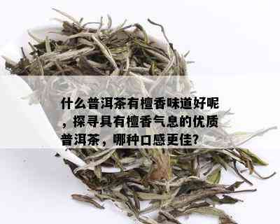 什么普洱茶有檀香味道好呢，探寻具有檀香气息的优质普洱茶，哪种口感更佳？