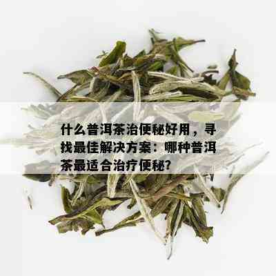 什么普洱茶治便秘好用，寻找更佳解决方案：哪种普洱茶最适合治疗便秘？