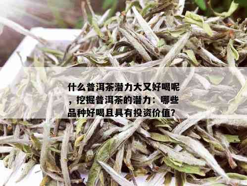 什么普洱茶潜力大又好喝呢，挖掘普洱茶的潜力：哪些品种好喝且具有投资价值？