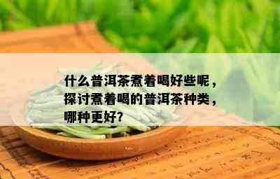 什么普洱茶煮着喝好些呢，探讨煮着喝的普洱茶种类，哪种更好？