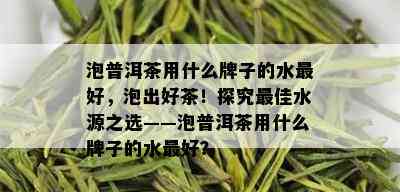 泡普洱茶用什么牌子的水更好，泡出好茶！探究更佳水源之选——泡普洱茶用什么牌子的水更好？