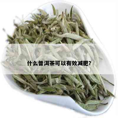 什么普洱茶可以有效减肥？